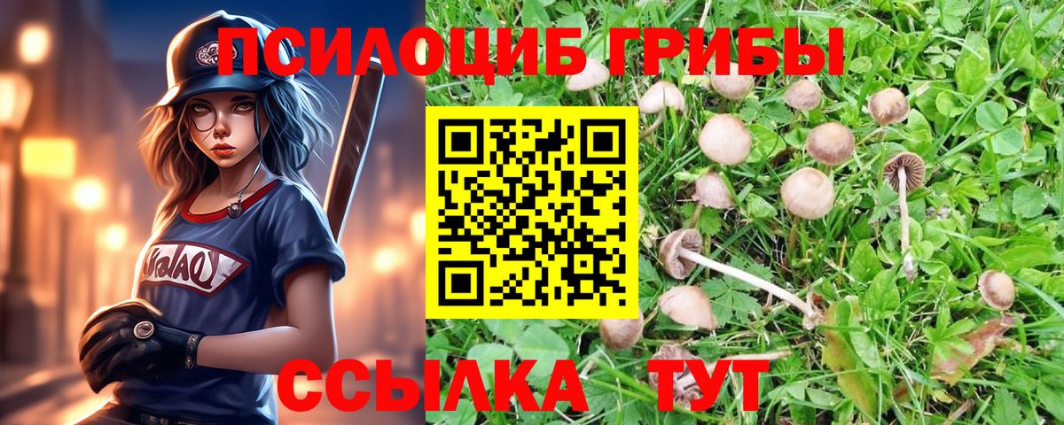 Галлюциногенные грибы GOLDEN TEACHER Семилуки