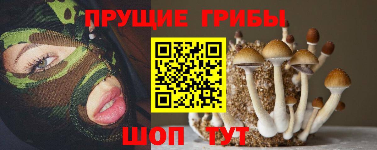 Псилоцибиновые грибы прущие грибы  Вход с VPN  Галлюциногенные грибы Psilocybe  Семилуки 